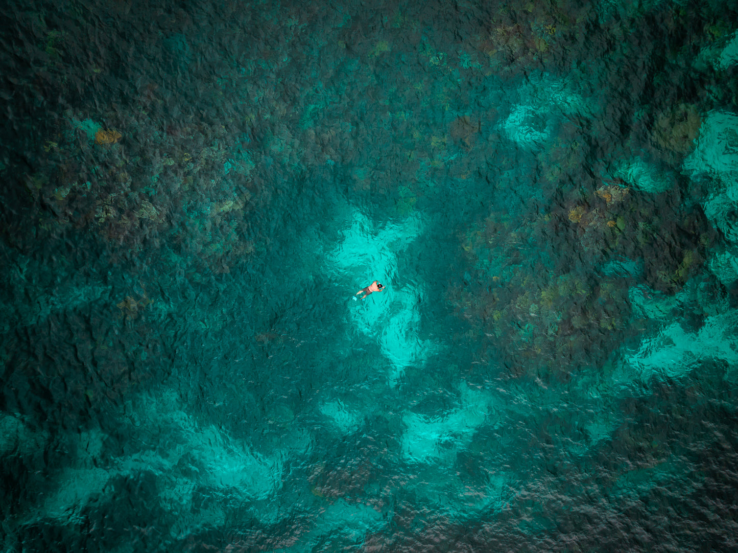 Snorkling In The Abacos