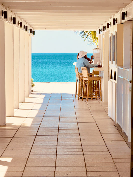 Gasparilla Ocean View